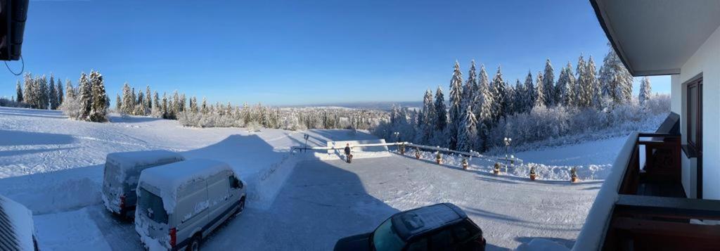 Bed and Breakfast Harmatowka Буковина-Татшаньска Экстерьер фото